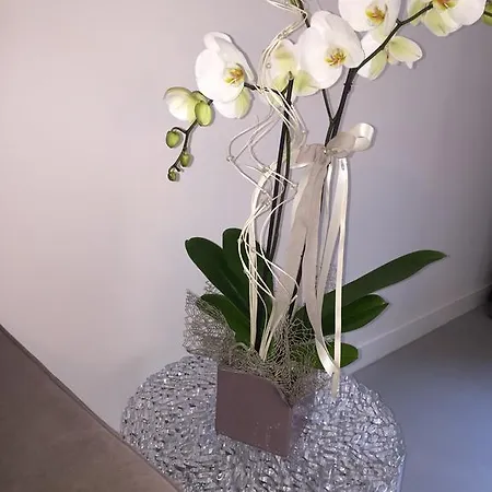 Lägenhet L'angolino Nascosto *