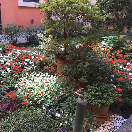 Lägenhet L'angolino Nascosto